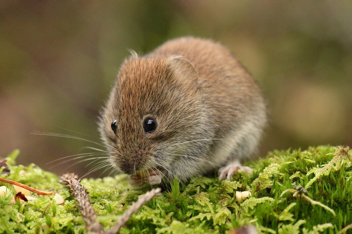 Fabien Lafuma tweet media