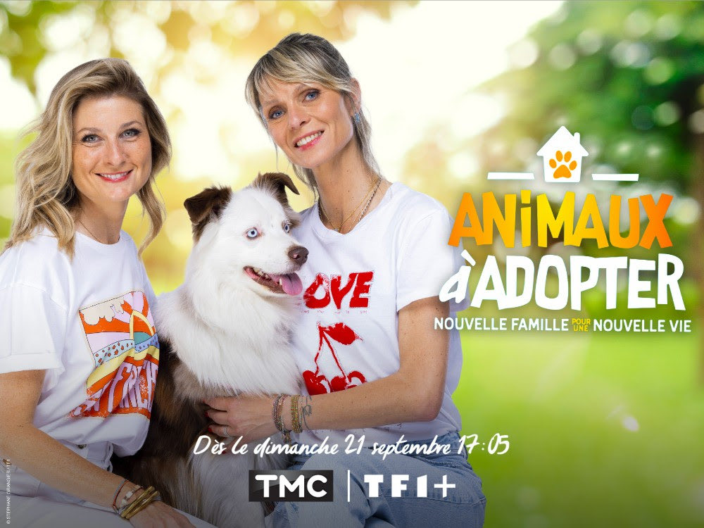 La nouvelle saison 100% INÉDITE de #AnimauxÀAdopter 🐶🐱 débarque dimanche 21 septembre a 17h05 sur <a href="/TMCtv/">TMC</a> 

Avec les refuges de la SPA, à Quimper (Finistère), Chamarande (Essonne), Saint-Pierre-du-Mont (Landes) et Pornic (Loire-Atlantique).