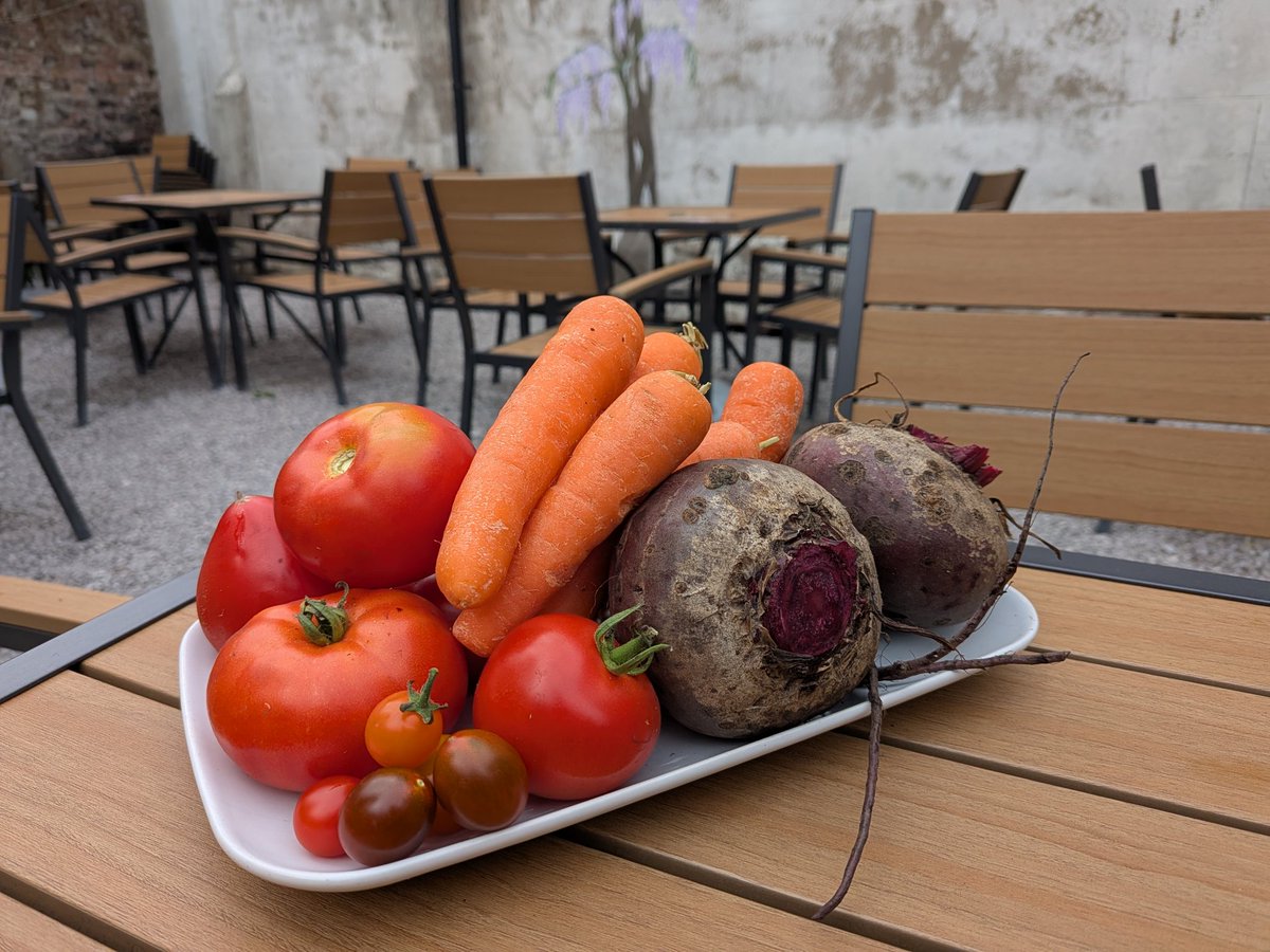 The Gathering tweet media