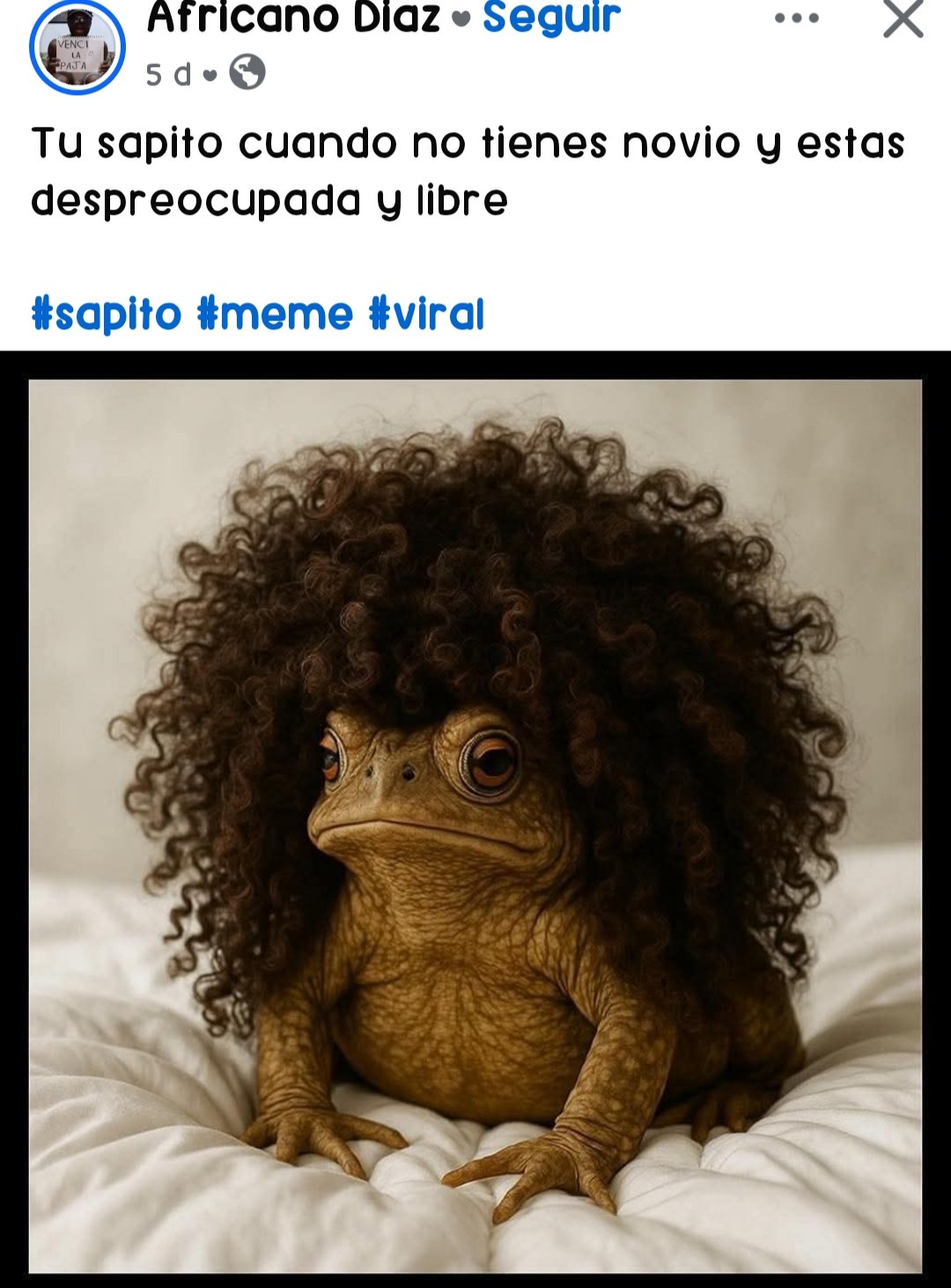 SofikMM 🌻♒ 🐱 🐶 💛 on X: t.cob9mNdBPuCD  X