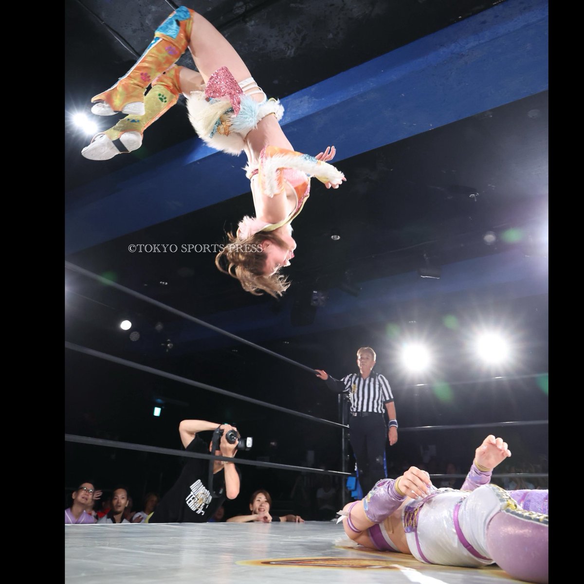 女子プロレス　マリーゴールド　両国　ロイヤルシート　特典　椅子 お知らせ】2025.1.4-1.5東京ドーム大会の ”ロイヤルシート”をご