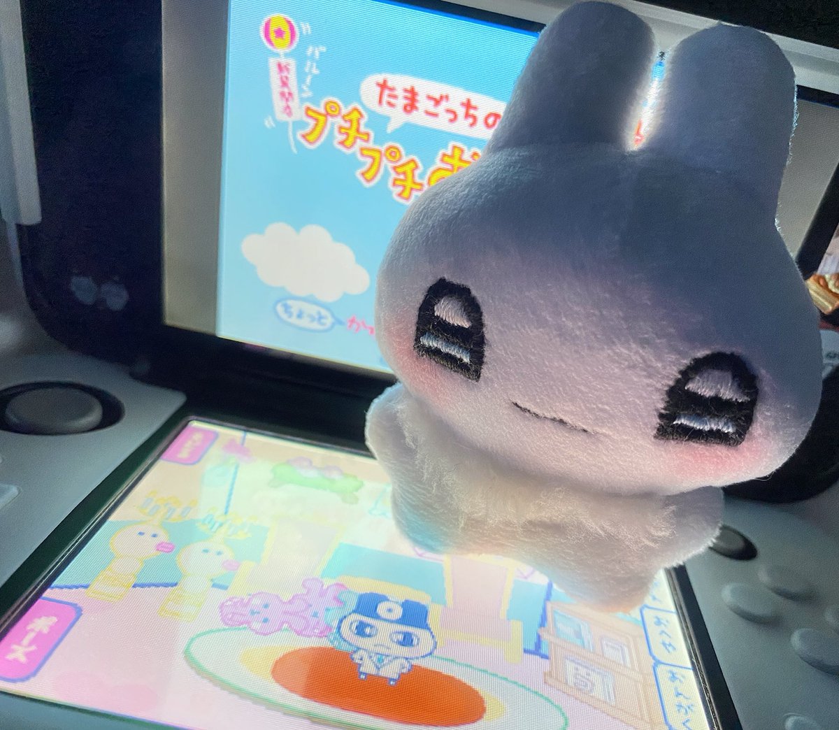 はくとん様❤️おまとめ専用ページです。10/14まで♡ 行ってみたかった場所に連れて行ってもらったよ𖤣𖥧𖥣｡𖥧𖧧 小
