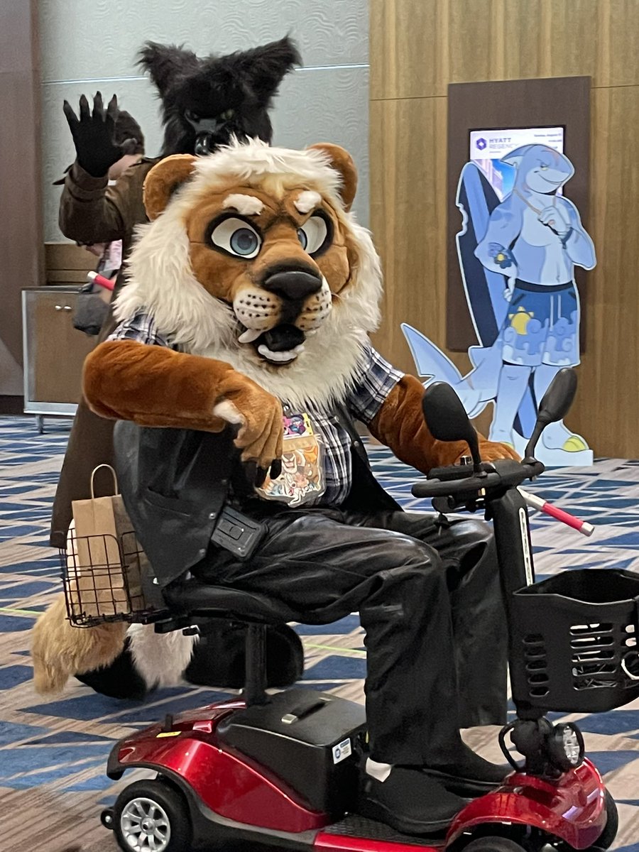 Good Morning all my furry family and friends. I’m back at home and have the Van unloaded. I want to thank each and every one of you who took time to stop and talk to me and share the love with this old gray muzzle lion. You all made my con the most amazing experience.