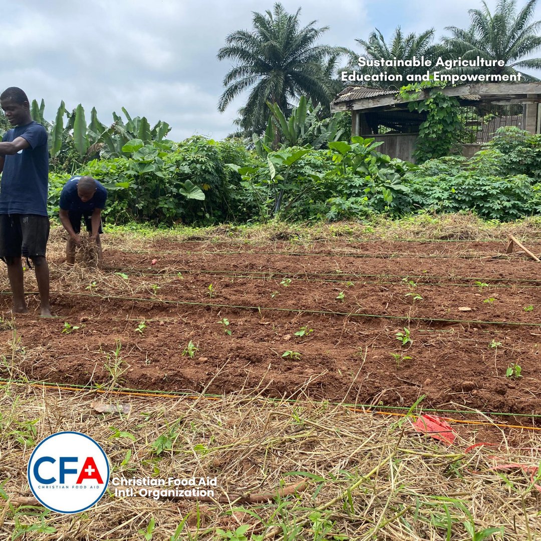 CFA_Intl's tweet image. Tomatoes in hand 🍅, Rodo in the ground 🌶️.
Moremi &amp;amp; St. John’s are showing us that when students farm, the future grows greener. 🌱

#SAEEProject #ChristianFoodAid #SamaritansPurse