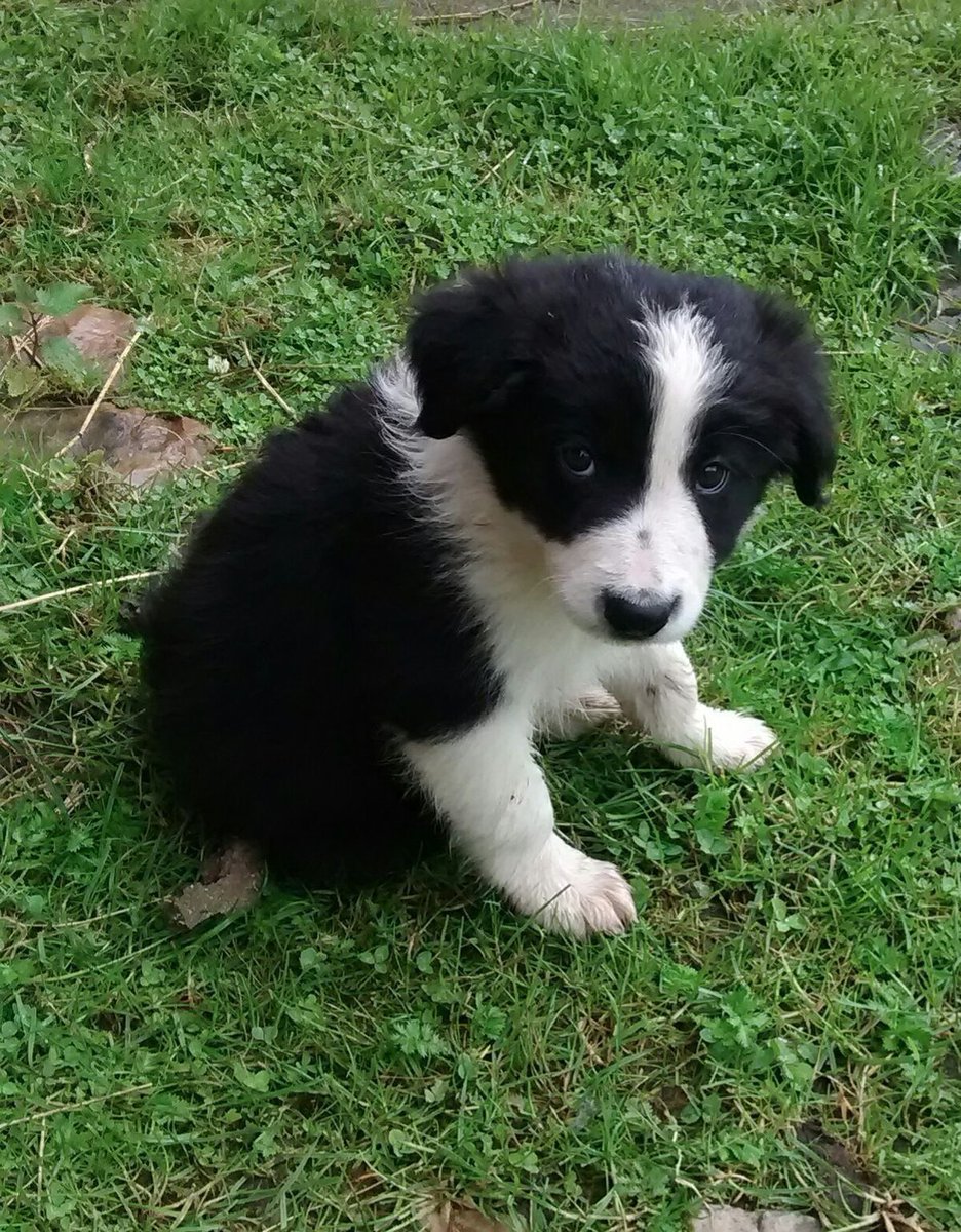 Megaplex was a blast. Glad to see so many people. Bye-bye animal people :3c