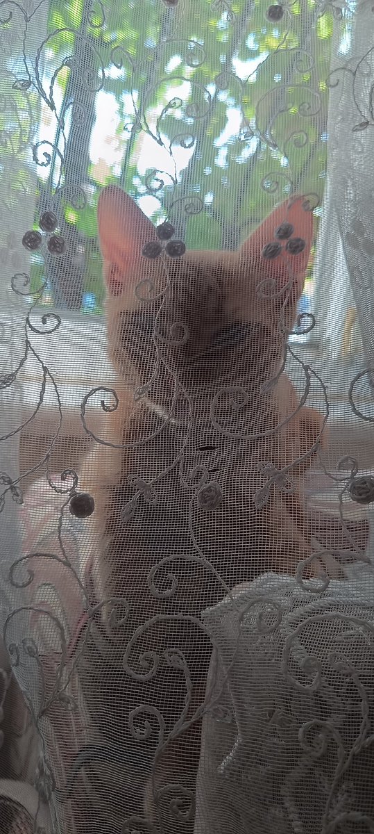 Gelin de geldi 😂😂😂