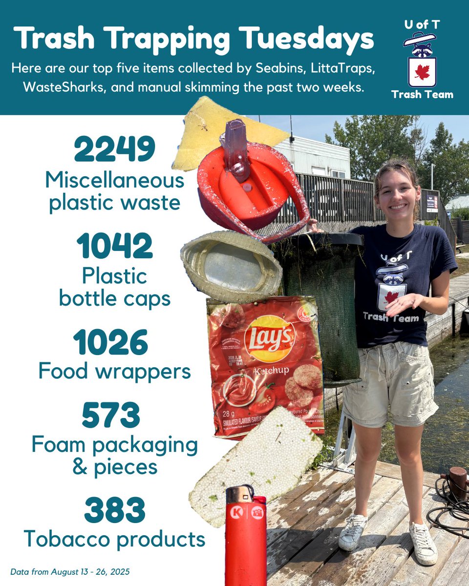 UofTTrashTeam's tweet photo. Happy September! As we wind down our #FightingFloatablesTO field season, let's catch up with the past few weeks! Looks like someone lost an entire bag of #birthday decorations, oh my! We also collected 4 mountain bikes worth of trash (by weight). #TrashTrappingTuesdays https://t.co/LSn7j0r1WT