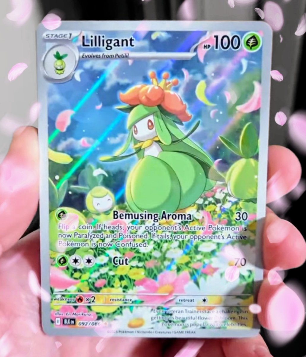 JohnnyCrambo's tweet image. 🌸 GIVEAWAY 🌸

☑️ REPOST + LIKE
☑️ COMMENT your favorite Pokemon 

Follow not required, but if you like pack openings - consider it❗
- Ends 9/7 #pokemon #giveaways
