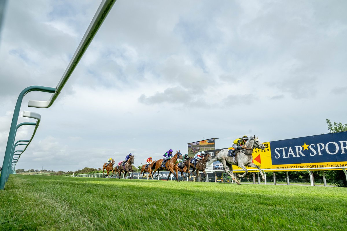 Love this shot of <a href="/WilliamsStuart/">Stuart Williams</a> trained Revolutionise 💛

At 9 years of age he is an 11 time winner &amp; we absolutely loved watching him win on his 82nd career start with us on Sunday 🥇

His record at our track is 3 runs - 2 wins &amp; 1 second! 

📸<a href="/dcoolimages/">Darren Cool Images</a>
