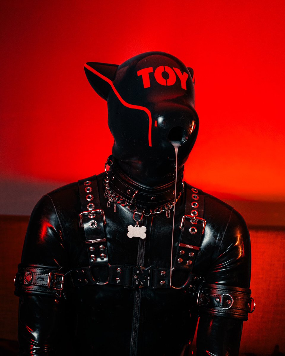 ✨the ultimate headspace✨

Am I a good toy?

Use code “pupargon” to get discount at Furrjoi.com