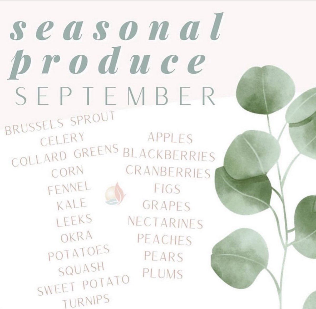 DrNirvana's tweet image. Here is the seasonal produce list for Southern California in September.

 #eattothrive #seasonalfoods #fallfoods #foodlist #holisticeating #nutritiontip #nutritionadvice #thyroiddiet #hormonehealth #hormonebalance #naturaldiet #foodsinseason