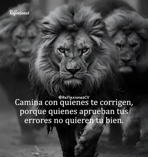 Mar Barros (@barrs_mar) on Twitter photo 