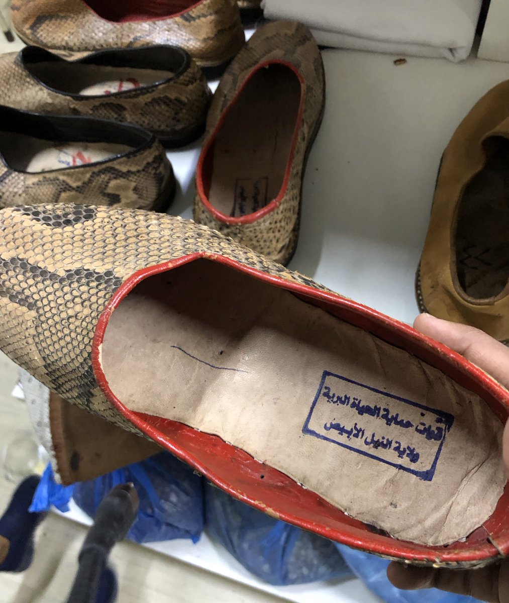 حماية الحياة البرية