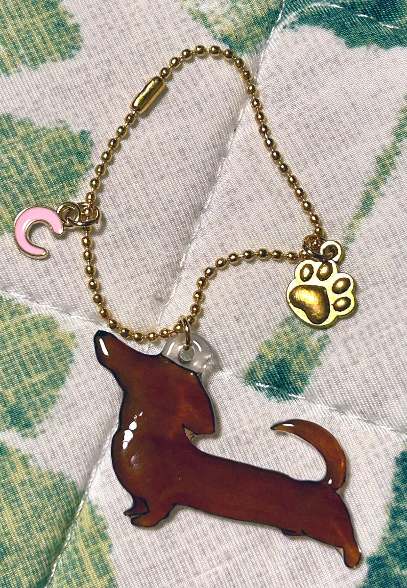 お迎えポスト遅くなって申し訳ありません💦

ShineLe( <a href="/shinele_/">ShineLe【シネル】ダックスキーホルダー8月販売開始！</a> )様より、ダックスキーホルダーをお迎えしました！

色は愛犬と同様レッドにし、チャームは名前から「C」にしてます✨✨

か、可愛い😍💕