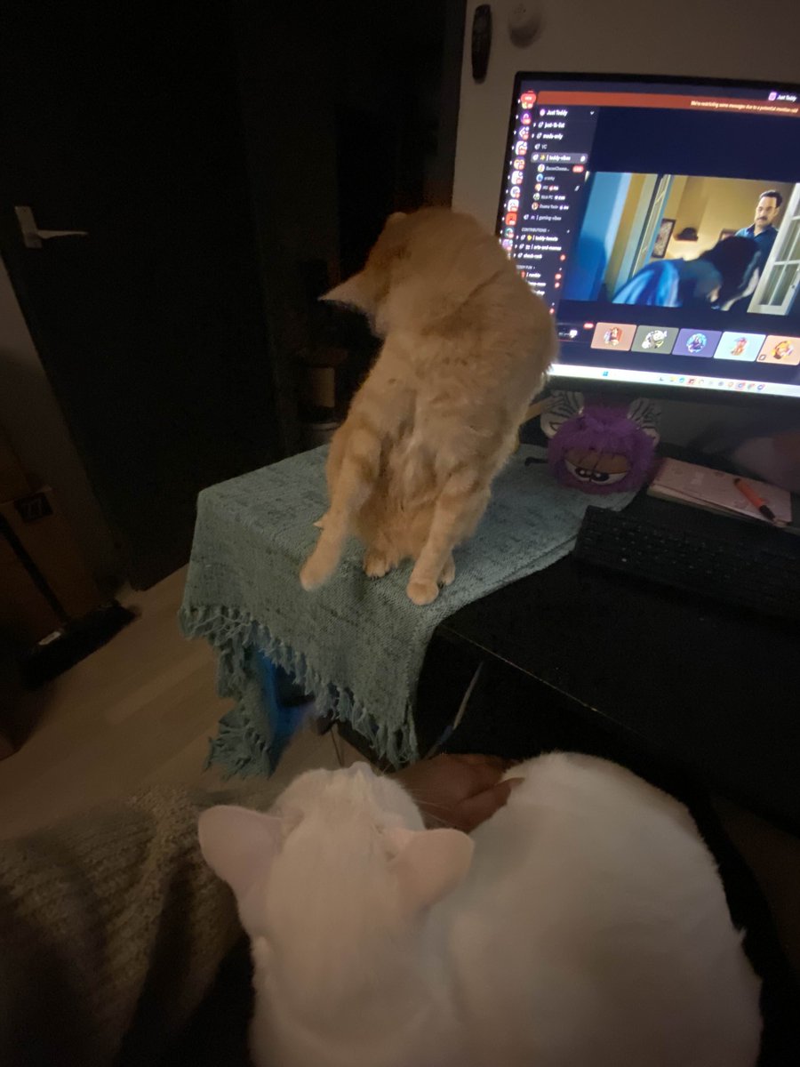 BaconCheese△ tweet media