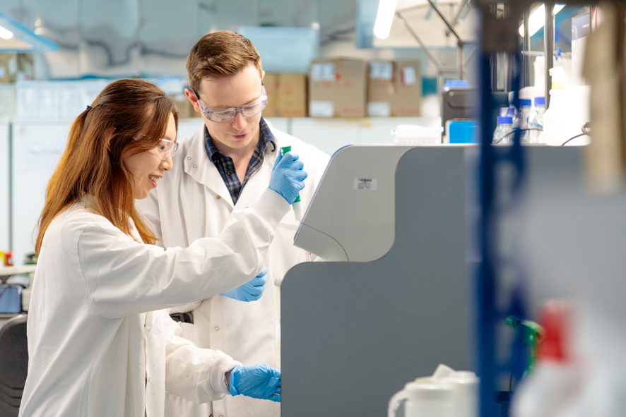 📢 Calling all healthcare professionals: applications for our Healthcare Professional Clinical Research Training Fellowships are open! The deadline for applications is 30th October 2025.

Through this scheme, we support healthcare professionals to undertake PhD training in