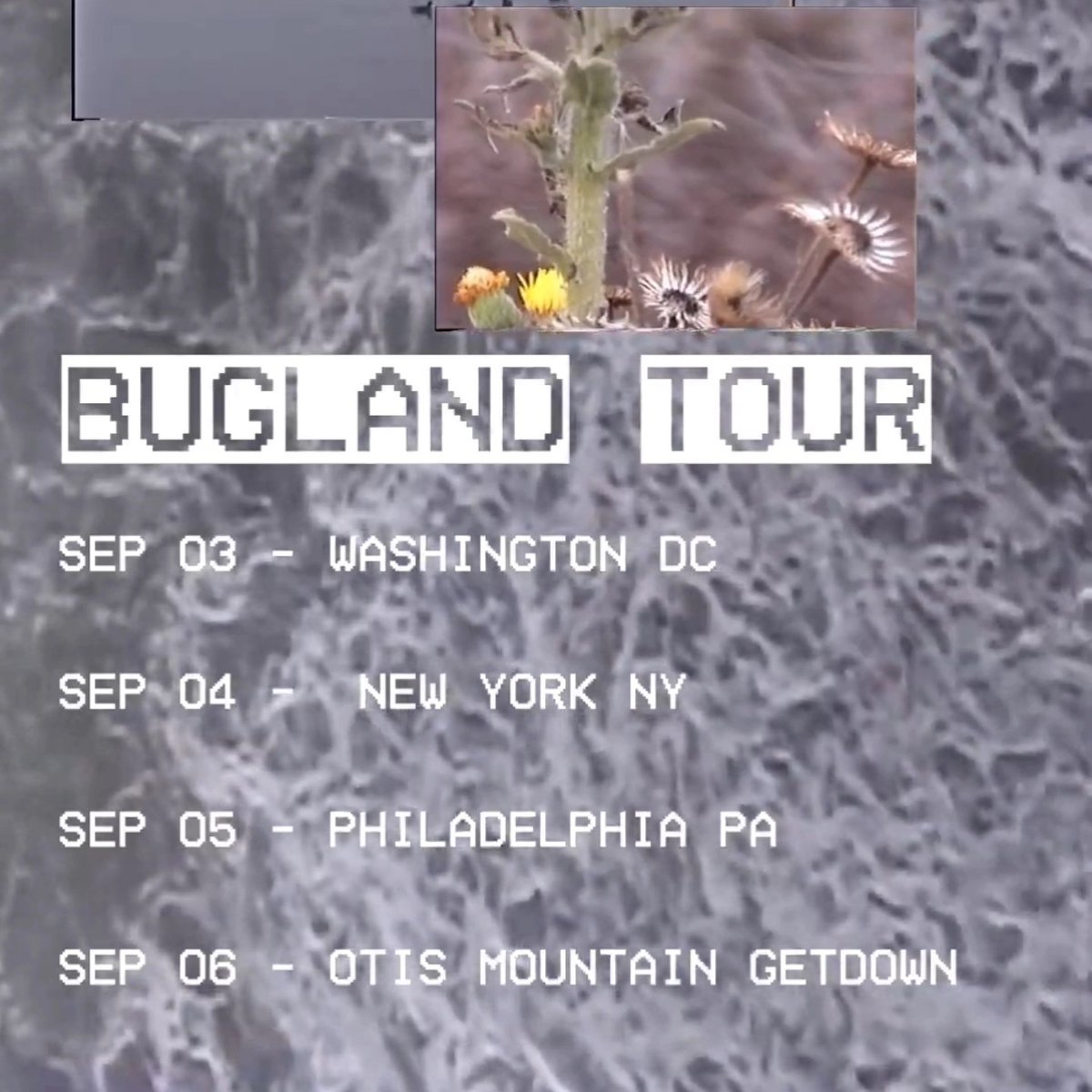 Hand Drawn Dracula (@handdrawndrac) on Twitter photo 