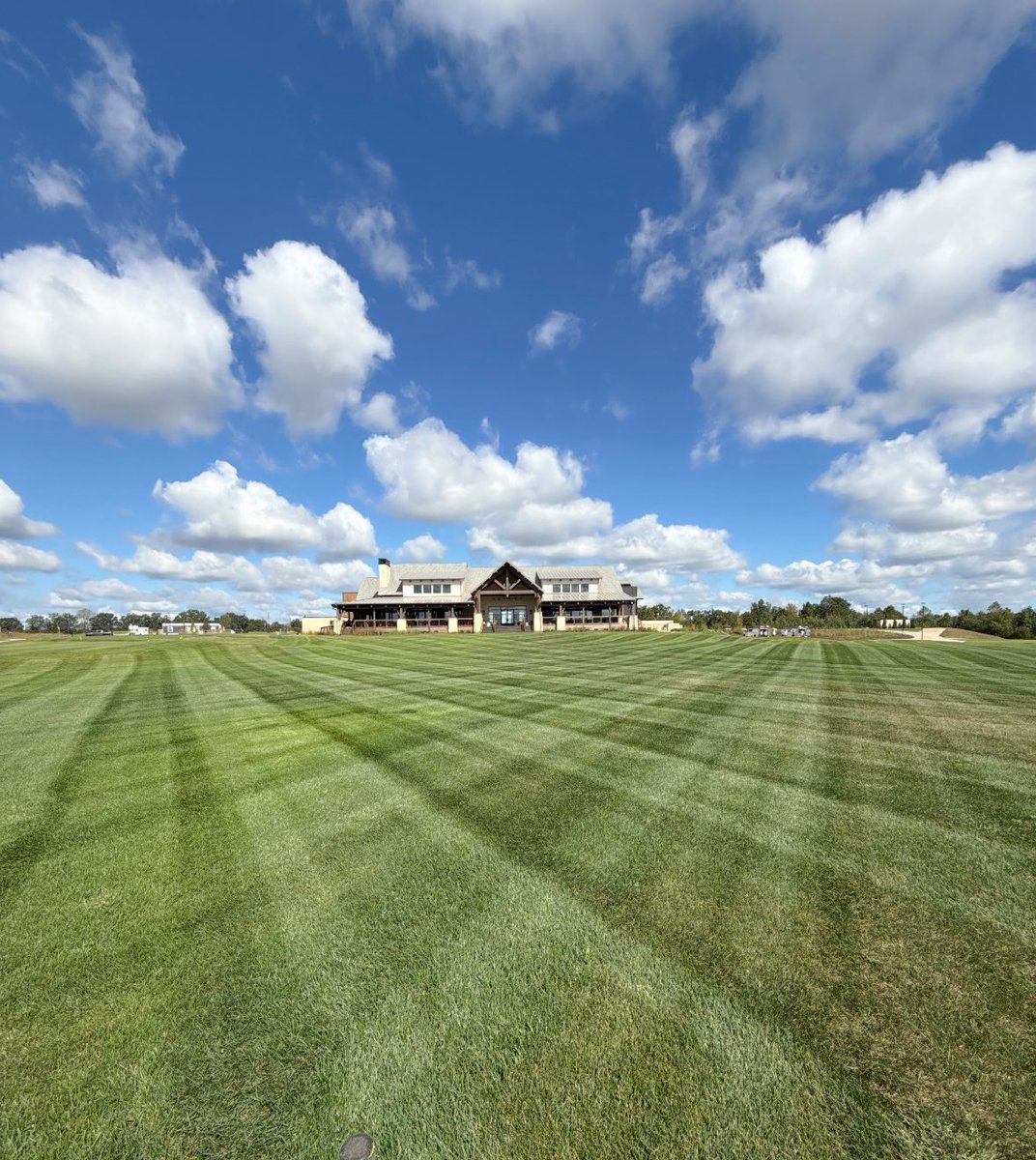 365 bluegrass for the win here in central Virginia, sodded back in July during the chaos. amazing what proper irrigation can do here for cool season turf. <a href="/rlaubscher/">Ross Laubscher</a> <a href="/verdesportsco/">Verde Sports Construction</a> <a href="/GolfShaper1/">Brian Jennings</a> <a href="/VirginiaGCSA/">VGCSA</a>