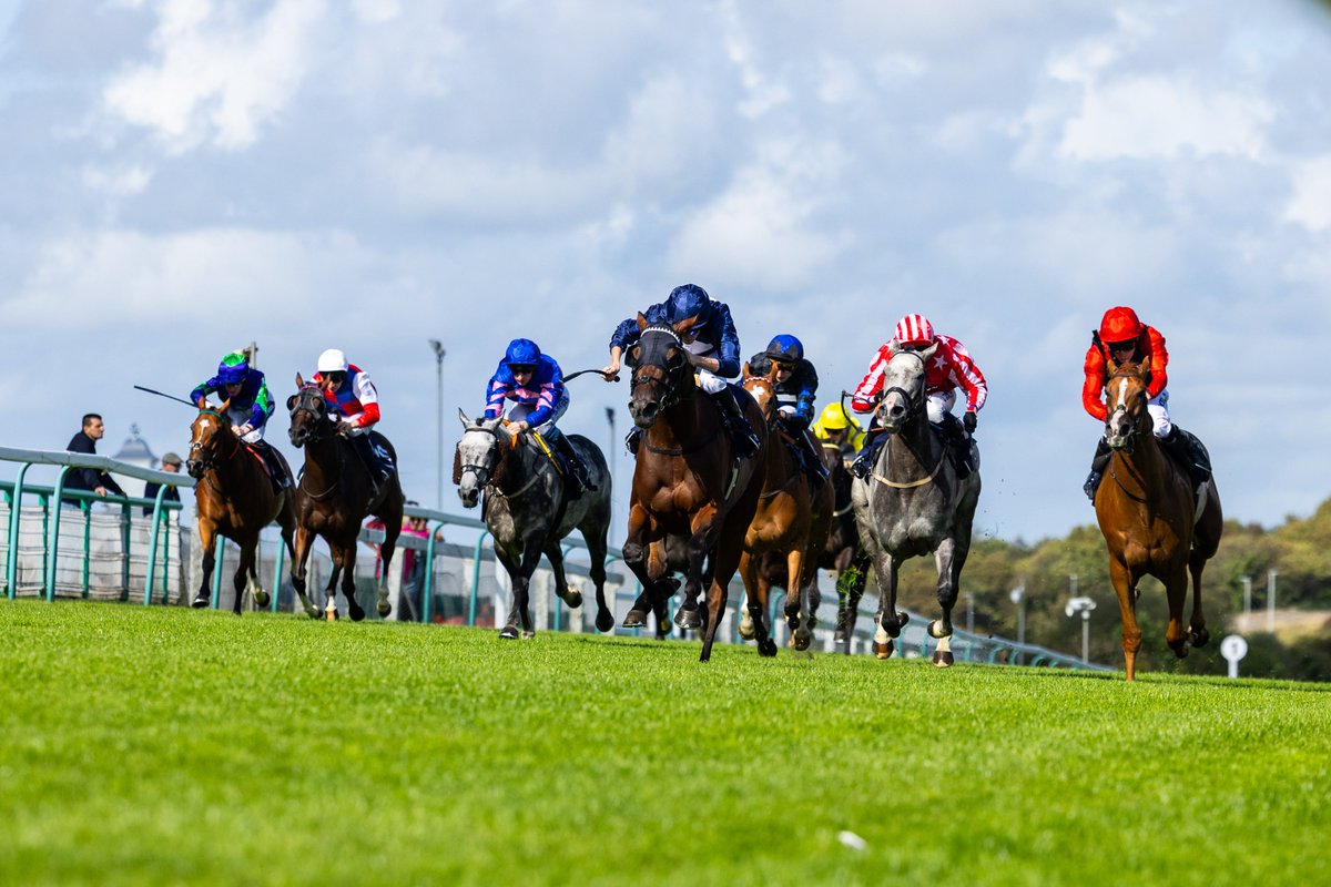 We only have FOUR fixtures remaining for the 2025 season: 

🍁Monday 15th September - Autumn Afternoon Racing
🐴Monday 29th September - Autumn Afternoon Racing
💙Tuesday 7th October - Brighton Residents Race Day
🥳Thursday 16th October - Season Finale

brighton-racecourse.co.uk/whats-on