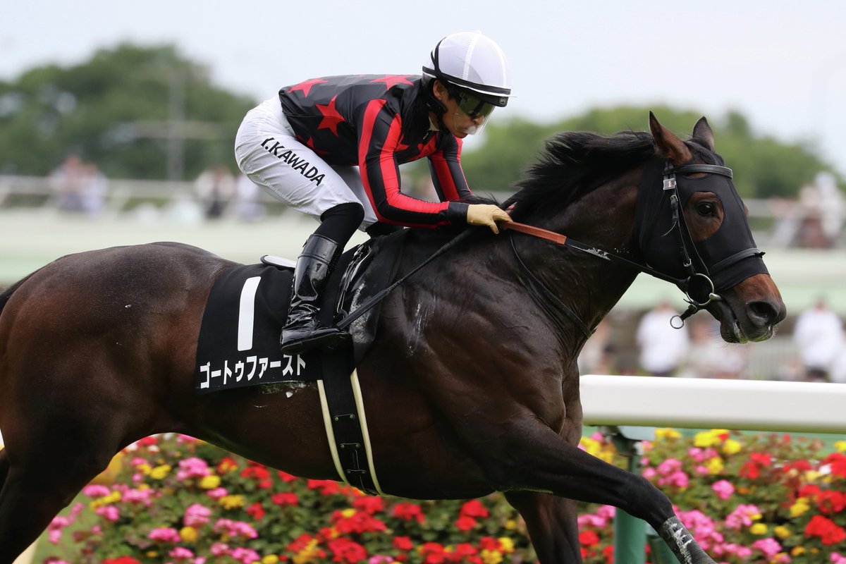 メイケイエール トートバッグ 中京競馬場 JRA－VAN メイケイ
