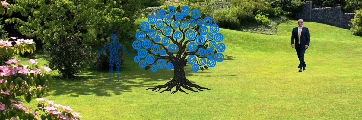 Infinite Money Tree tweet media