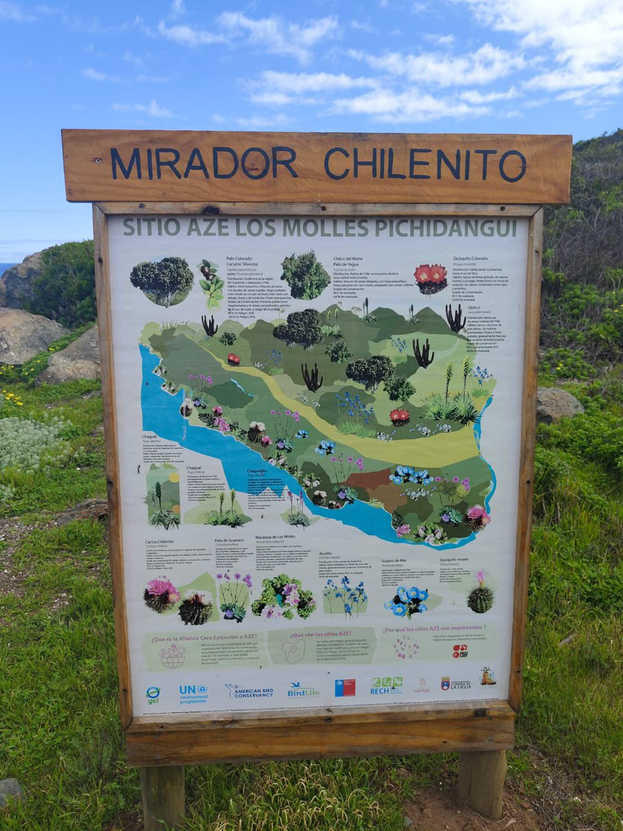 Seguimos avanzando en el  Plan de Conservación para el Sitios Los Molles – Pichidangui y su especie clave, el cactus Chilenito 🌵🌺 (Eriosyce chilensis). En la Reserva Puquén se llevó a cabo un taller para trabajar de forma colaborativa un plan de trabajo para Reserva Puquén 🙌