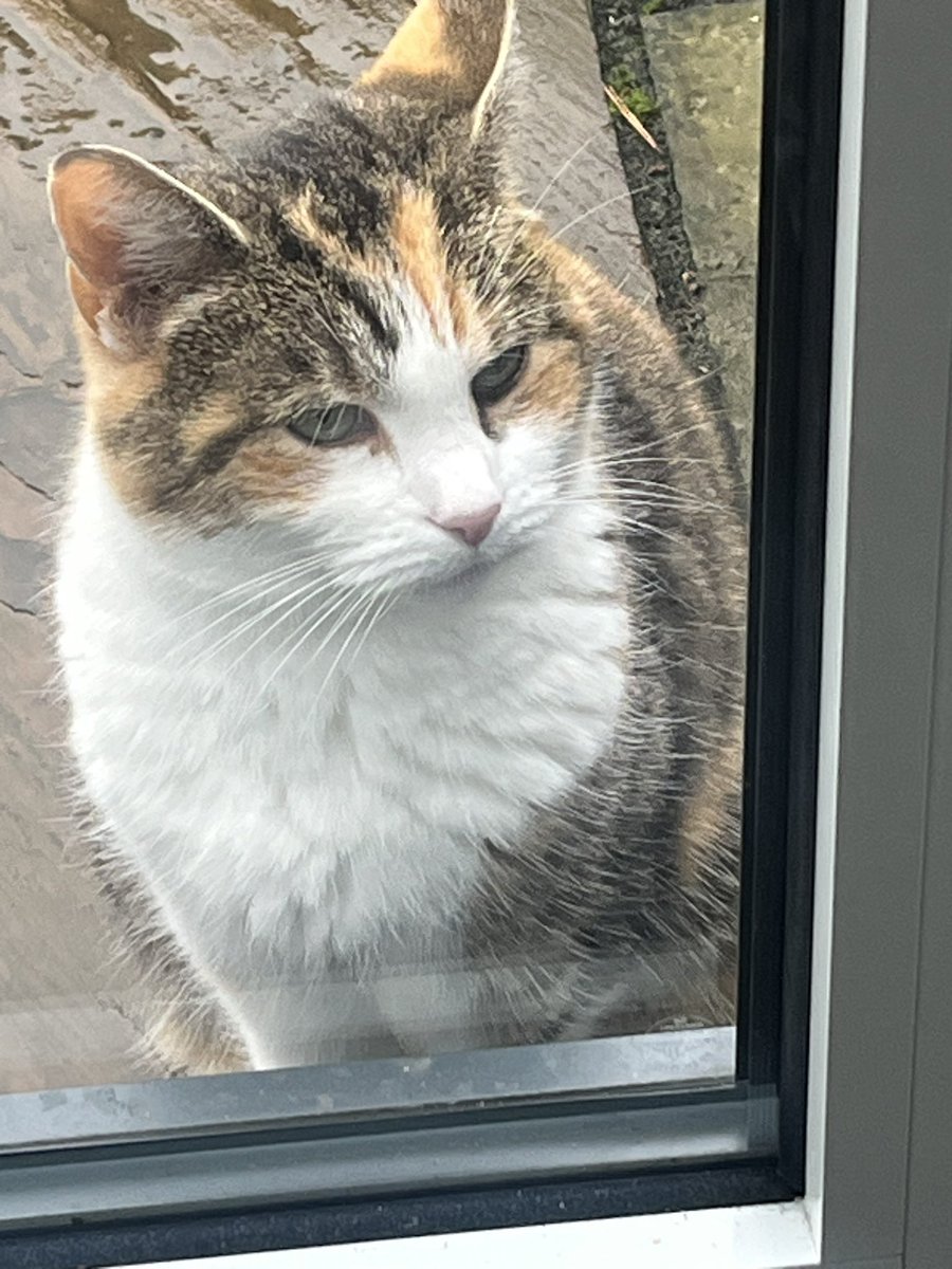 Just to say a huge thank you for all the very kind messages and condolences following Violet’s sudden departure ORTB 🌈 You really are the best and the loveliest of people. Much love ❤️