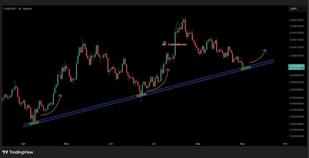 $FLOKI is back at its major bullish trendline, the third time it's touched this level since April.

All we need now is a confirmation from indicators like the Stochastic or RSI, before making an entry.

I'll keep you updated!