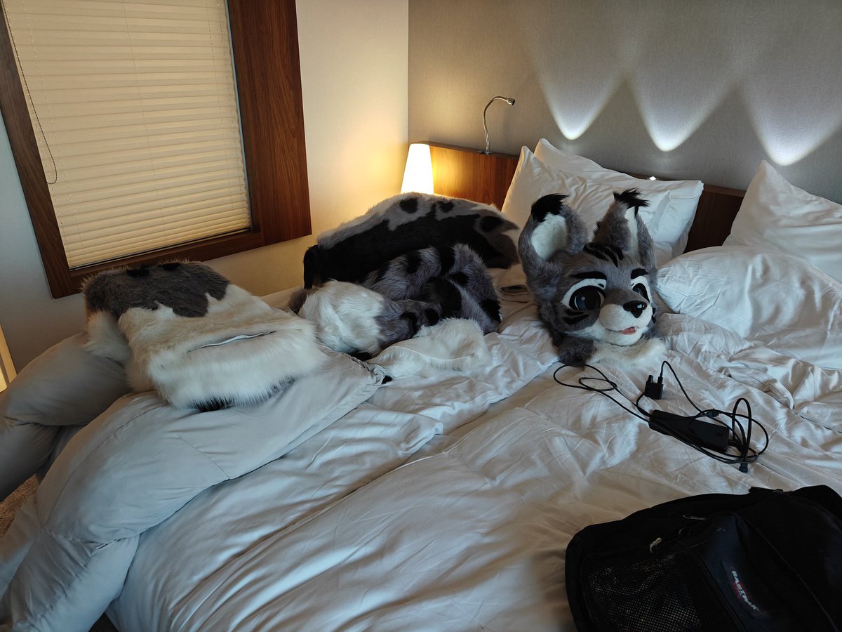 TheRaccoonCat tweet media