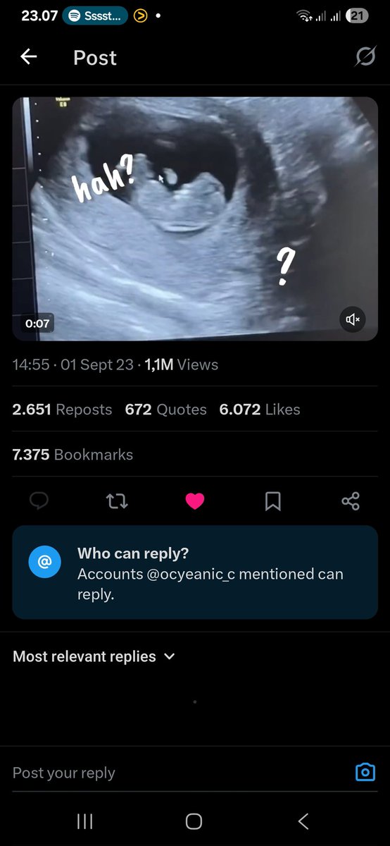 🐢 tweet media