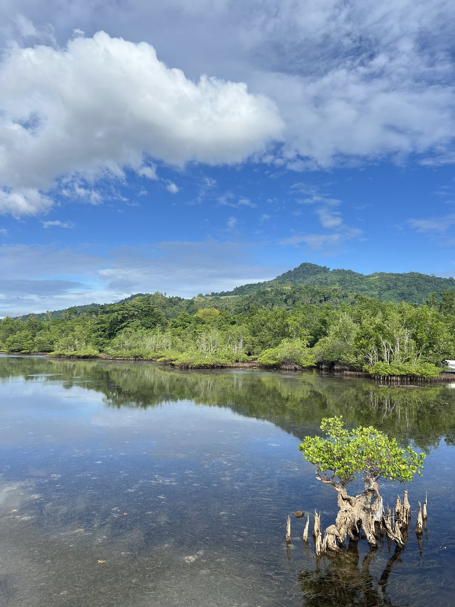 sunflowerns_'s tweet photo. Indonesia, sumpah cakep bgt. Tapi tidak dengan pemerintahnya 😩

Pertama kali ke Indonesia timur jalur Sulawesi wkwkw, next plis bgt main ke timur plis belom KESAMPEAAAAAANNNN https://t.co/VBMOR25zrU