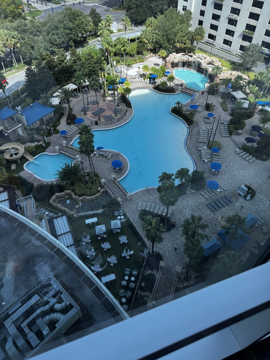 And just like that the fuzz are gone 😔