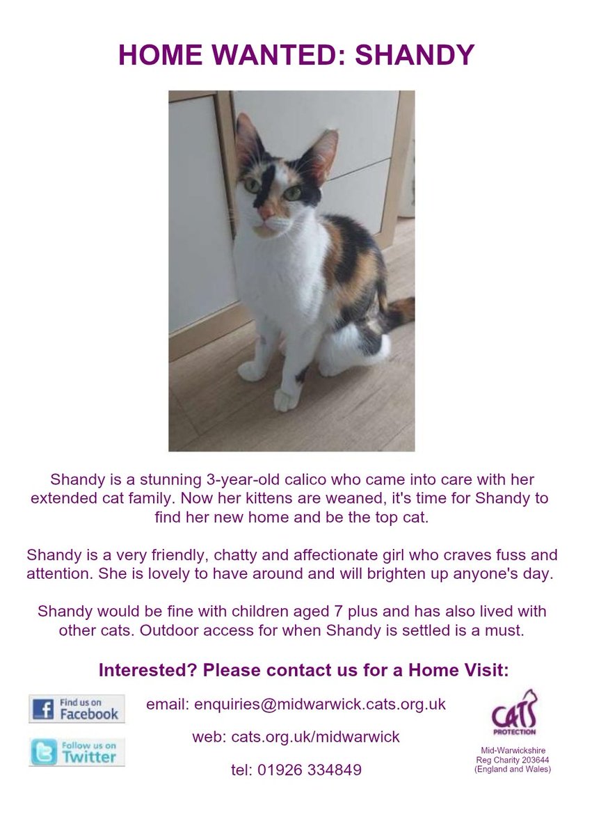 MidWarksCP's tweet image. HOME WANTD: SHANDY

This 3-year old Calico female is now ready for her #foreverhome.

#AdoptDontShop