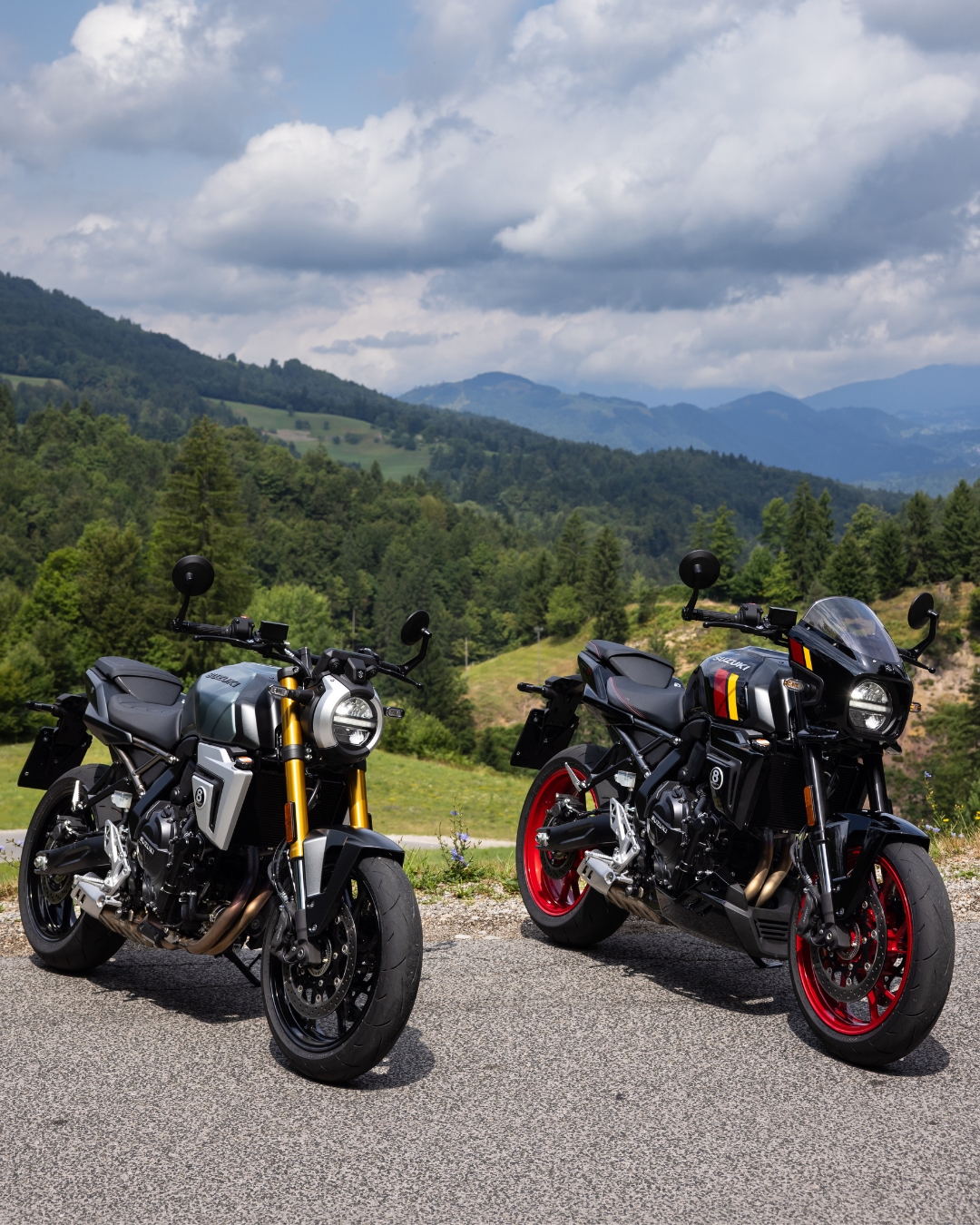 今年もアオバズク来る❢ 2024.6.2 blueskyfuji: ZX-6R 2024年式のレンタル819を予約しました