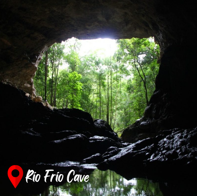 BelizeConsulate's tweet photo. ✨Landmark of the Month: Rio Frio Cave!

Belize's gem of the month is here! Tag someone you'd explore this with. 🌍

Read more in our newsletter 👇
🔗 https://t.co/vsGdNMRwCU

#Belize #Newsletter #BelizeIsBeautiful #MonthlyHighlight  #BelizeNature #CaveExploration #RioFrioCave https://t.co/FkczJOLEja