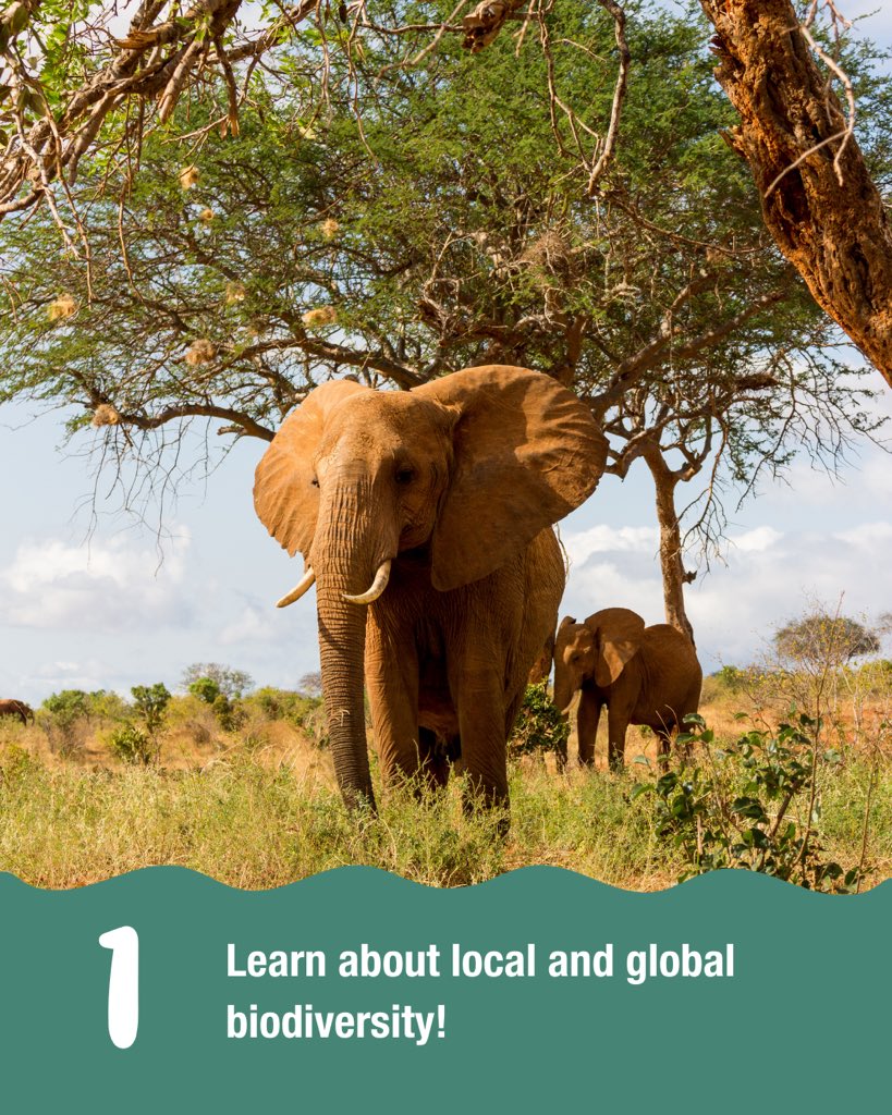 South African Youth Biodiversity Network tweet media