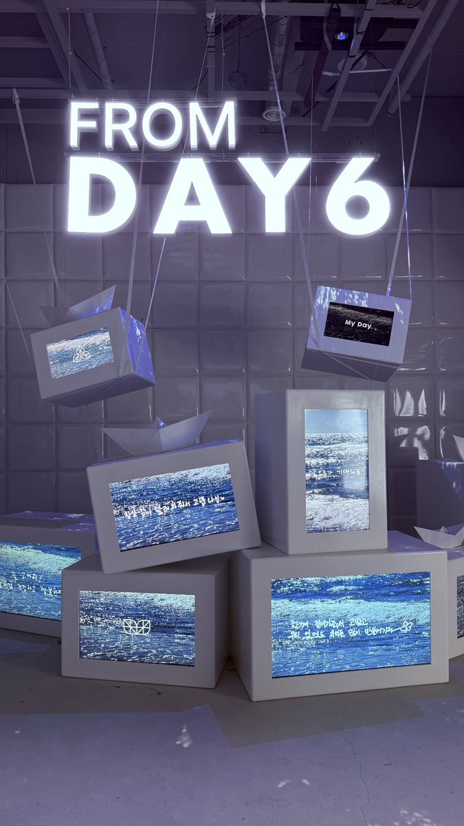 홍시 tweet media