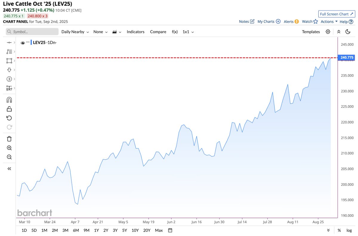 Cattle on track for its highest closing price in history 📈📈