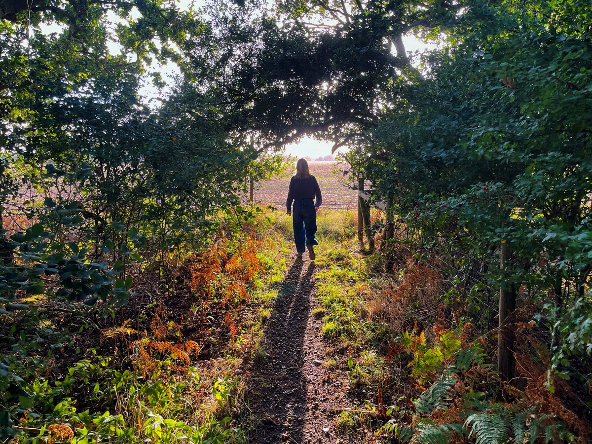 Summer’s end: near East Wittering, West Sussex

6.27pm, 1st September 2025