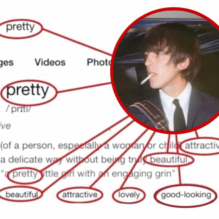 alex 🇵🇸 tweet media