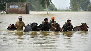 Heartbreaking scenes from Punjab floods—buffaloes drowning, villages submerged, families devastated. 😢 This isn't just a local crisis; it's a national tragedy! Urge the govt to declare it a #NationalDisaster NOW &amp; rush aid to ALL affected areas. Lives depend on it! #PunjabFloods
