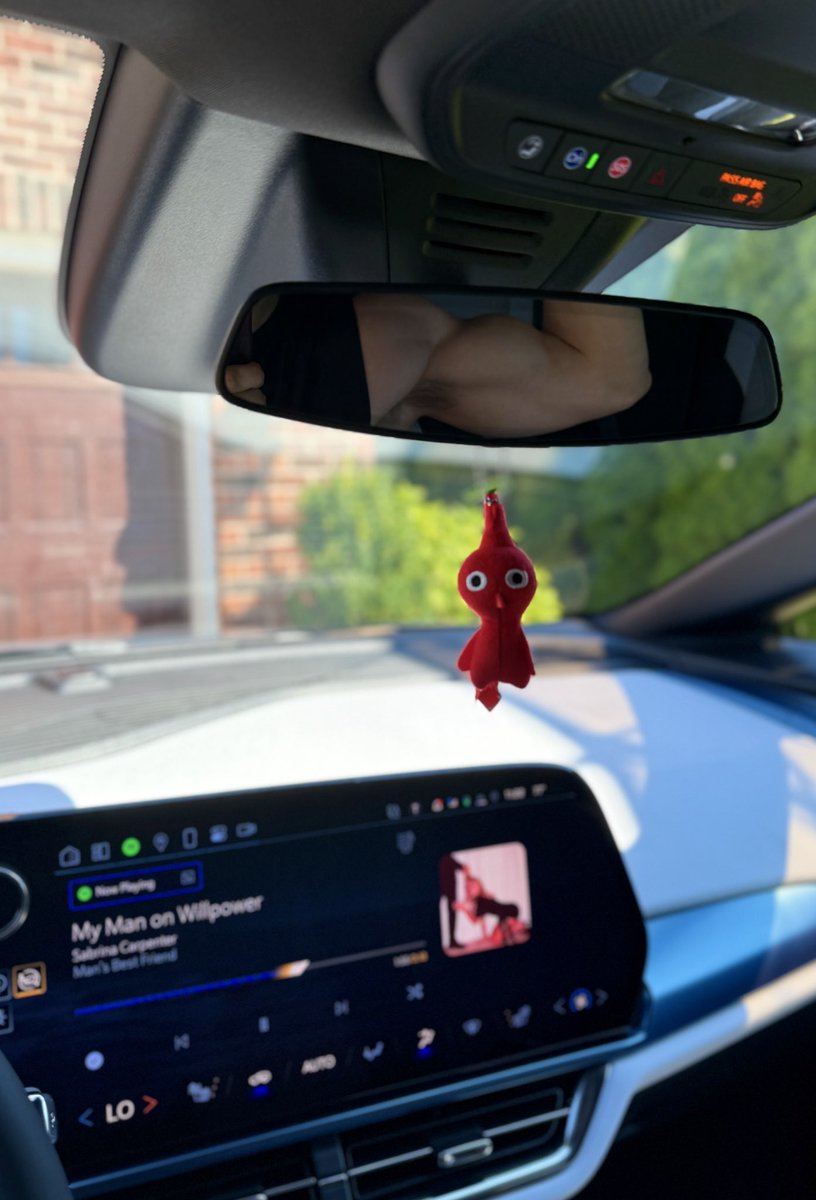 t_kobs's tweet image. What I see vs what the Pikmin sees