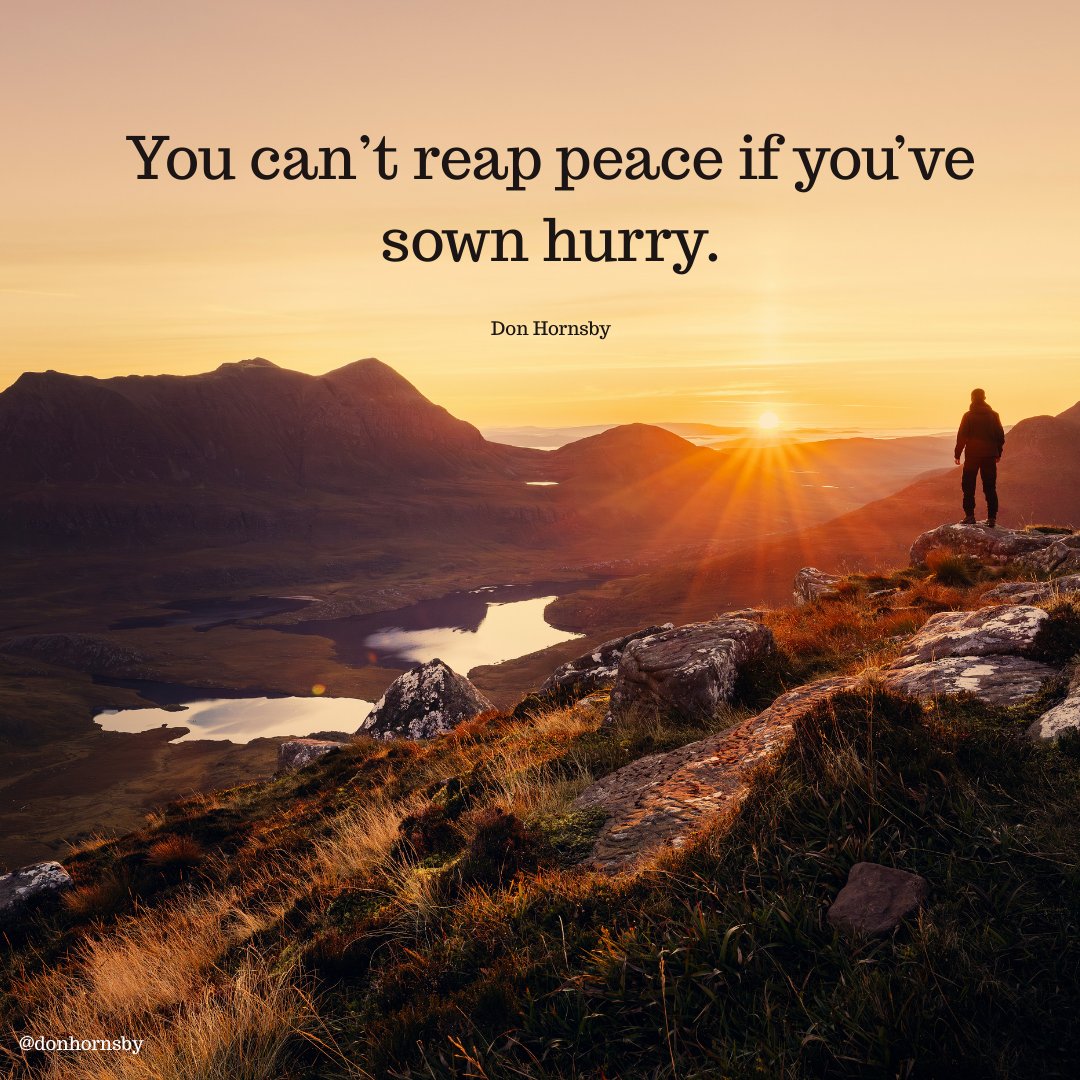 donhornsby's tweet image. You can’t reap peace if you’ve sown hurry.

#HarvestAndReflection #FaithInPractice #FallRhythms #MindfulLeadership #DonaldHornsby