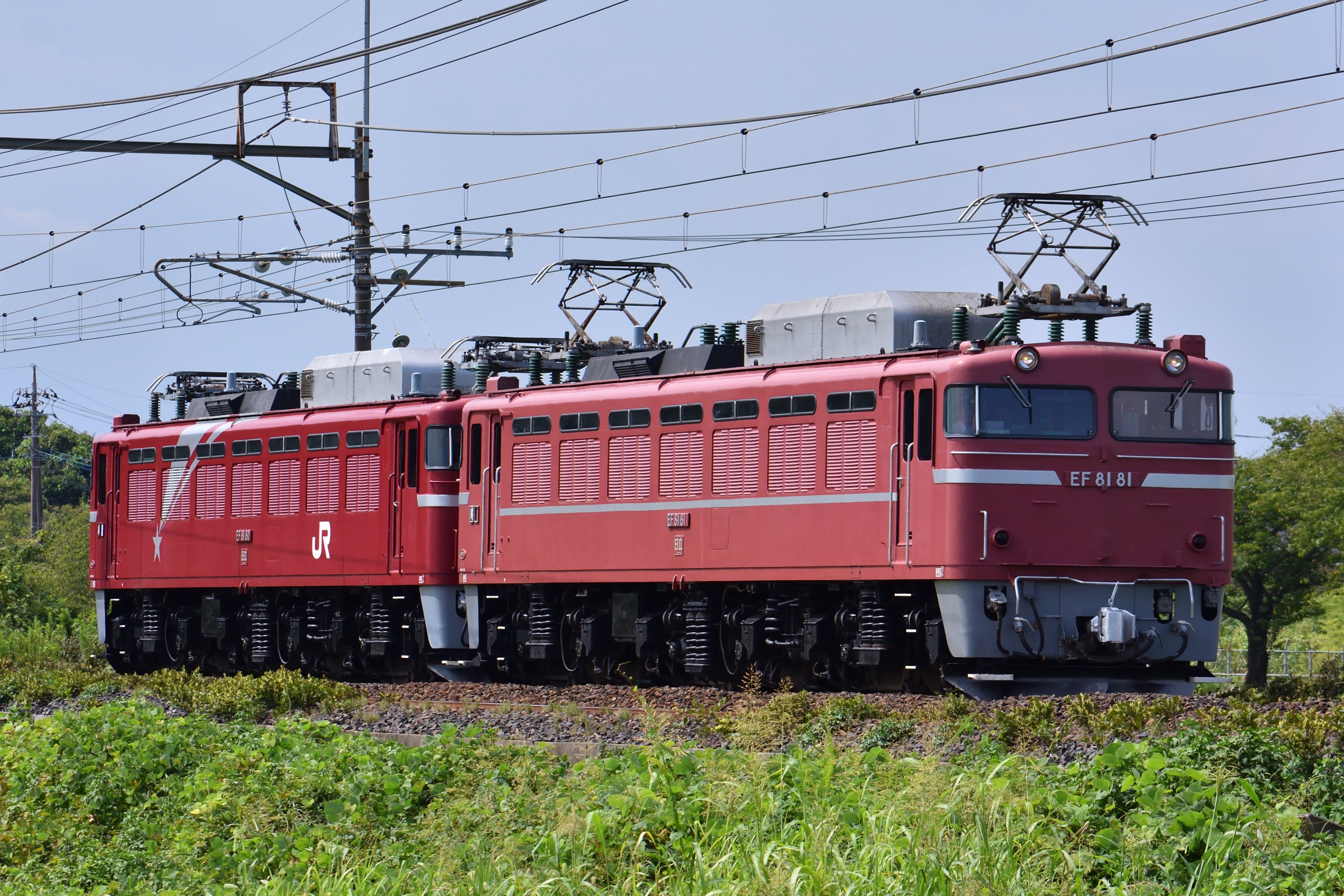 極上　象置物　575g タルチ　東な７-0209① ダイワ】 20極鋭 タチウオテンヤSP 91-180 AGS DAIWA KYOKUEI