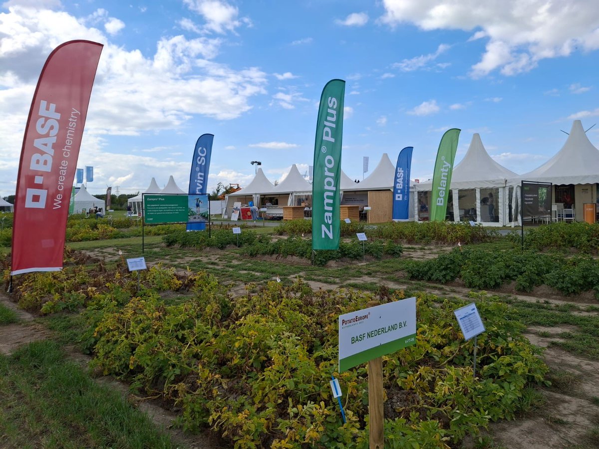 Bezoek ons morgen op <a href="/PotatoEurope/">PotatoEurope</a> bij BASF-stand VG-06 en ontdek het laatste aardappelnieuws: 1,4SIGHT, Zampro Plus, Enervin SC, Belanty en Allstar.