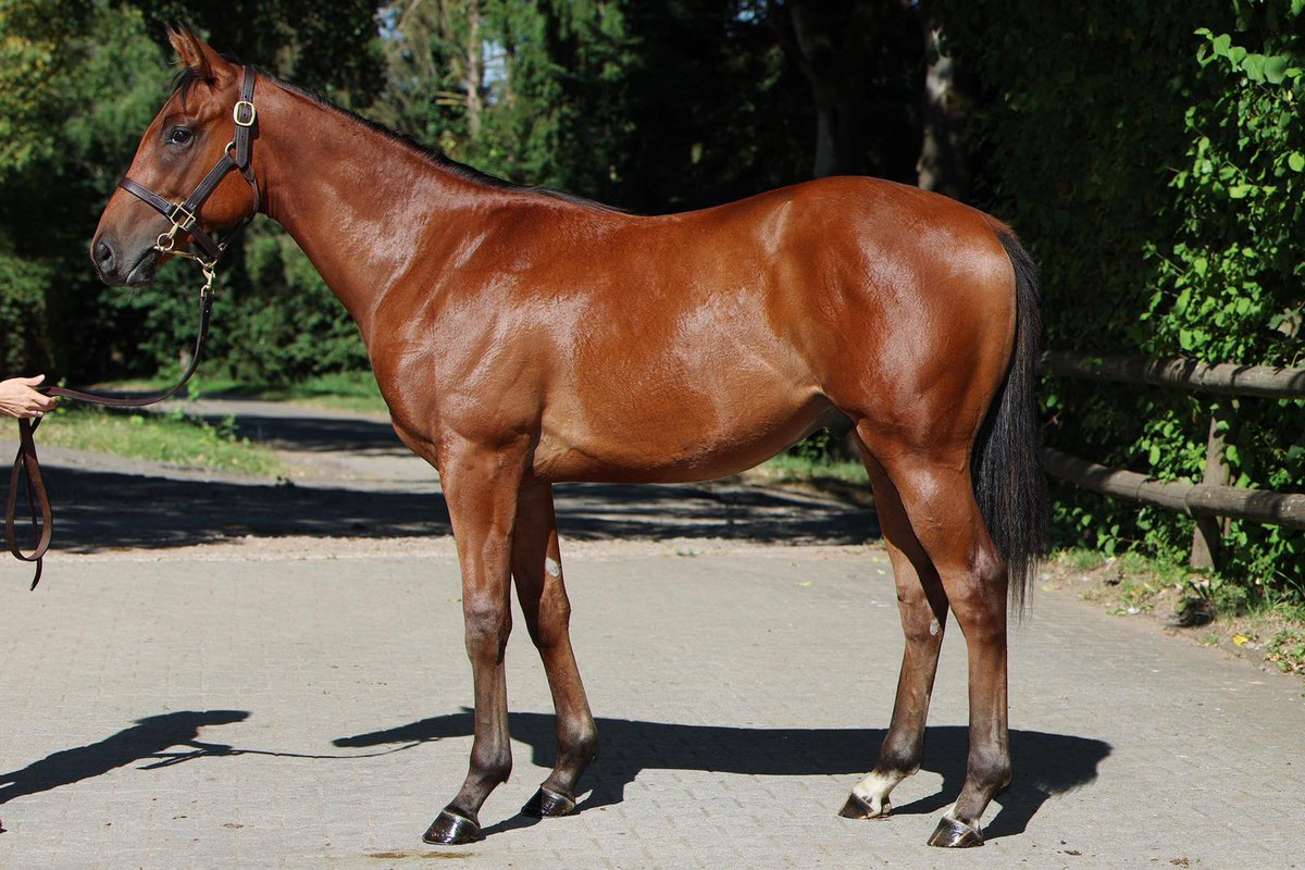 Marianne Pasler tweet media