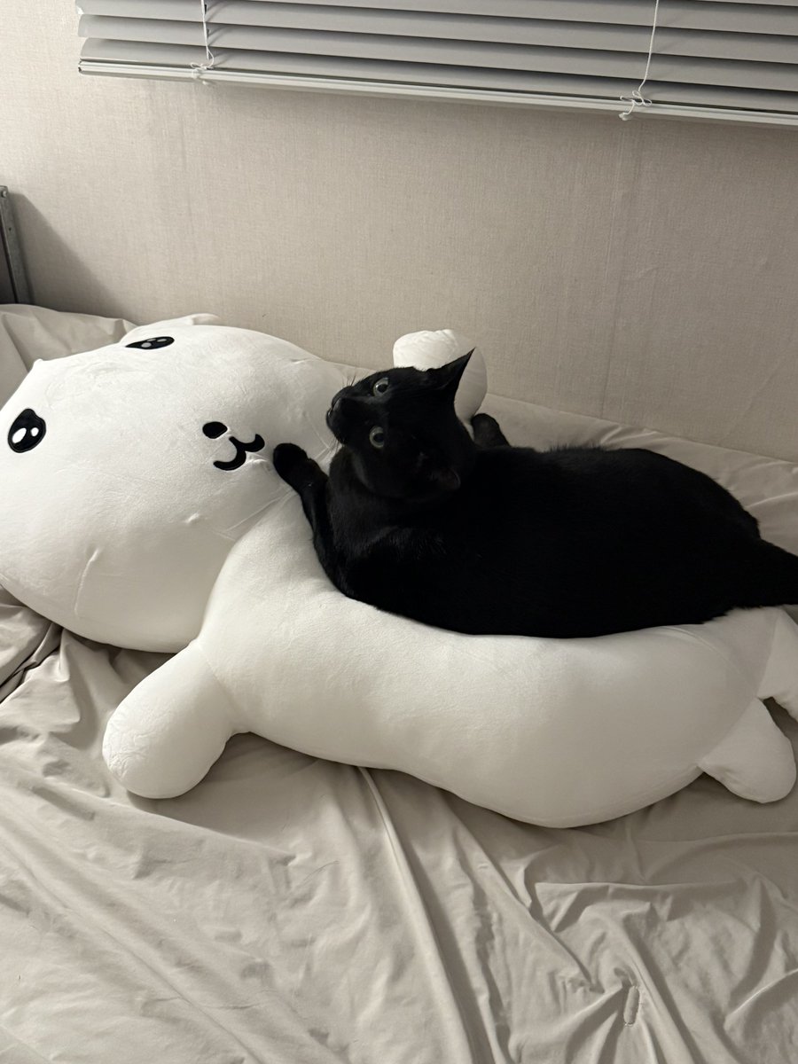 나에게도 가나디 절편이 생김
그리고 5초만에 뺏김