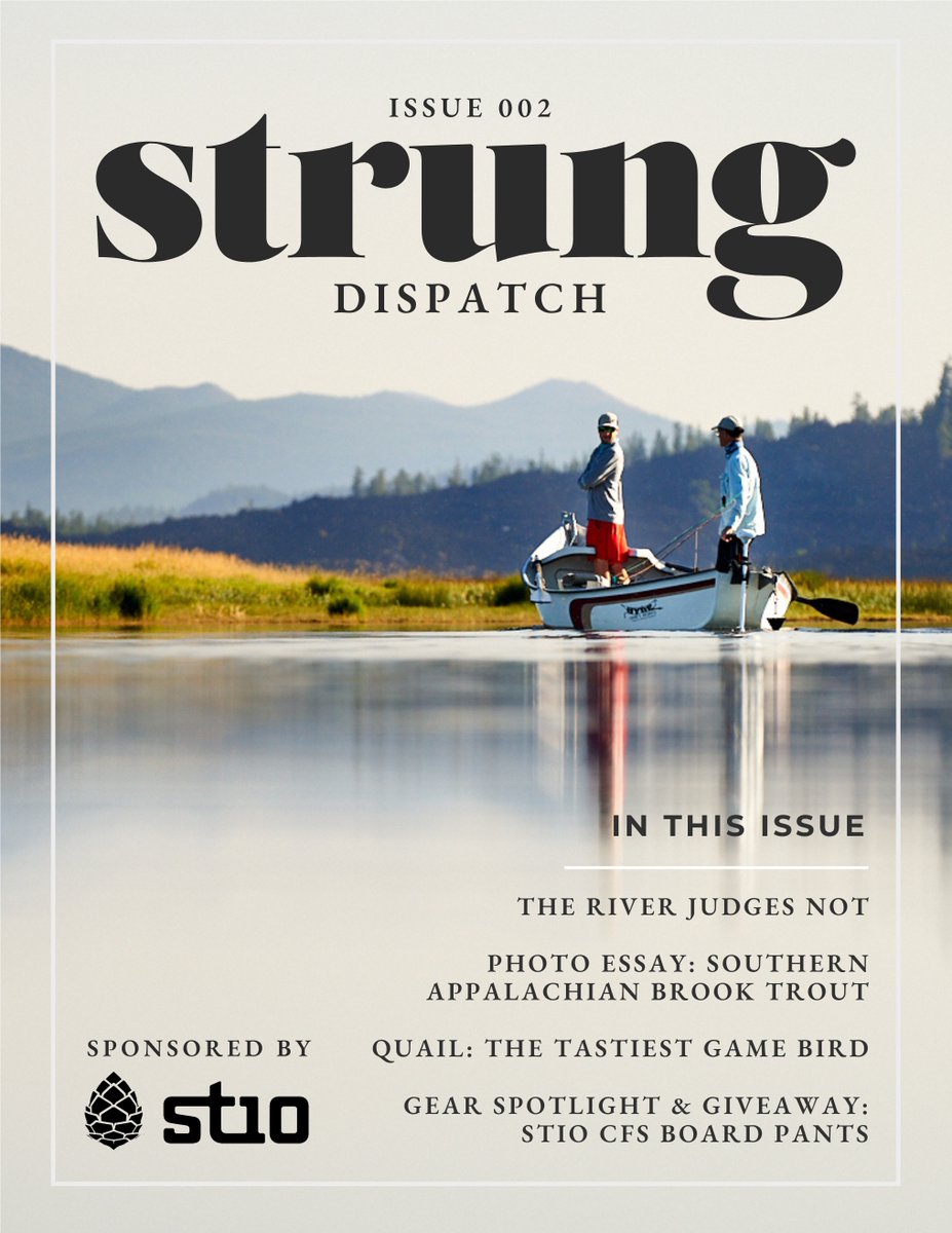 strungdispatch's tweet image. Hunting. Fishing. Storytelling that slows you down.
That’s what Strung has always been about.

🧵 A short thread on who we are, where we’ve been, and what’s next.