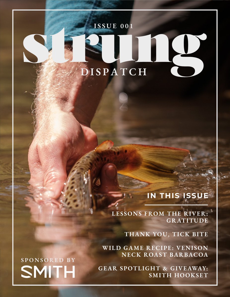 strungdispatch's tweet image. Hunting. Fishing. Storytelling that slows you down.
That’s what Strung has always been about.

🧵 A short thread on who we are, where we’ve been, and what’s next.