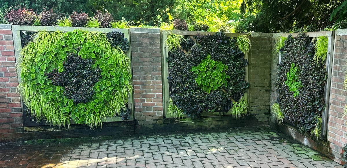 chicagobotanic's tweet photo. The Buehler Enabling Garden is shining bright with diamond patterns. Its six vertical walls and diamond shaped garden beds were a natural fit for plantings that feature varieties that thrive in both full sun and shade for #Patterns2025. Learn more: https://t.co/ompEtjjnn2 https://t.co/C1JD09hrXB